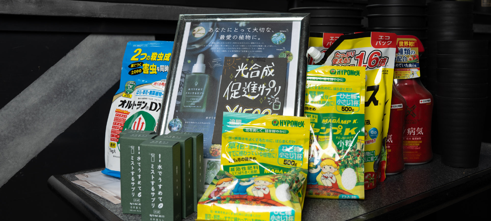 その他 – WON PLANTS
